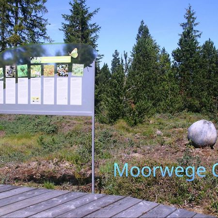 Ferienwohnung Schoene Auszeit Oy-Mittelberg Exterior photo
